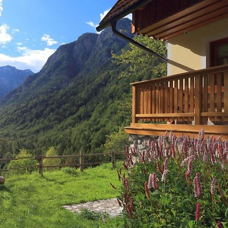 Zadnjica Holiday House Soca Exterior photo